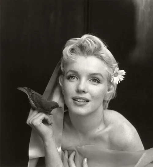 Thumbnail Salinamelanie: Marilyn Monroe's Dreamy Downturned Eyes | PrettyGirls