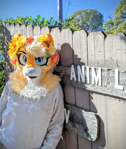 Thumbnail Challenge Accepted: MsBidoof's Artistry | furry