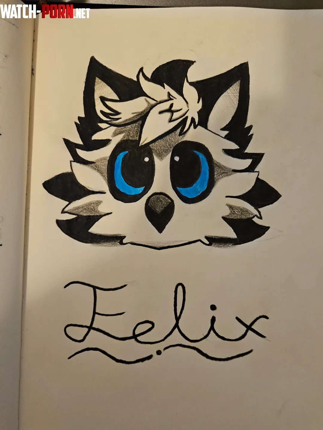 First time drawing a fursona by Independent-Tank-627
