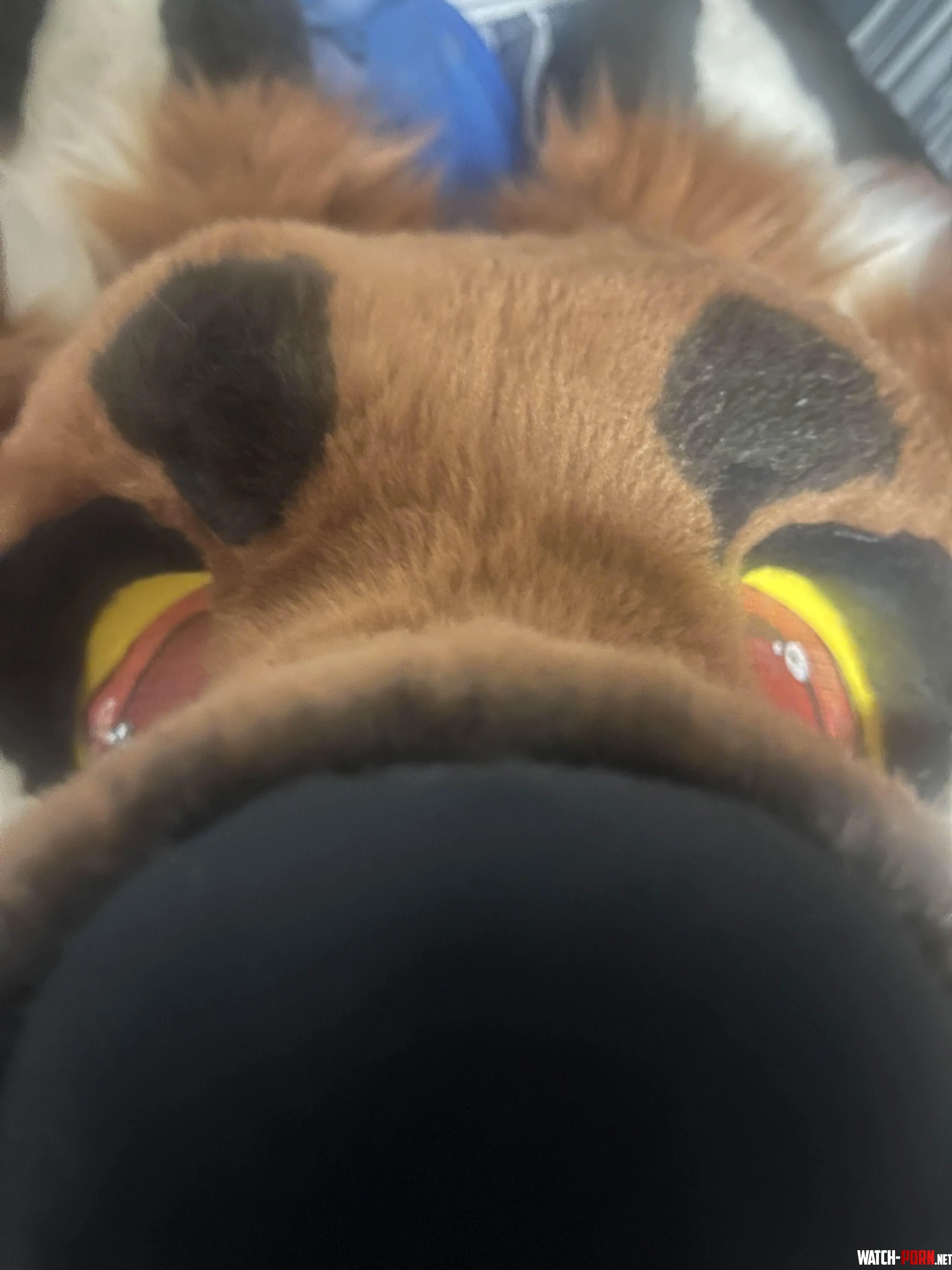 You got games on your phone New fursuit by Kirda17