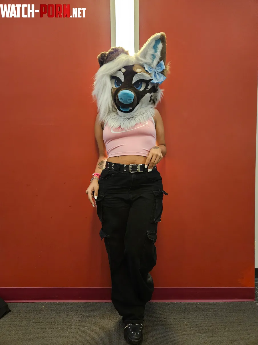 This pretty puppy had a great time at MFF Who else went by ennuiiangel