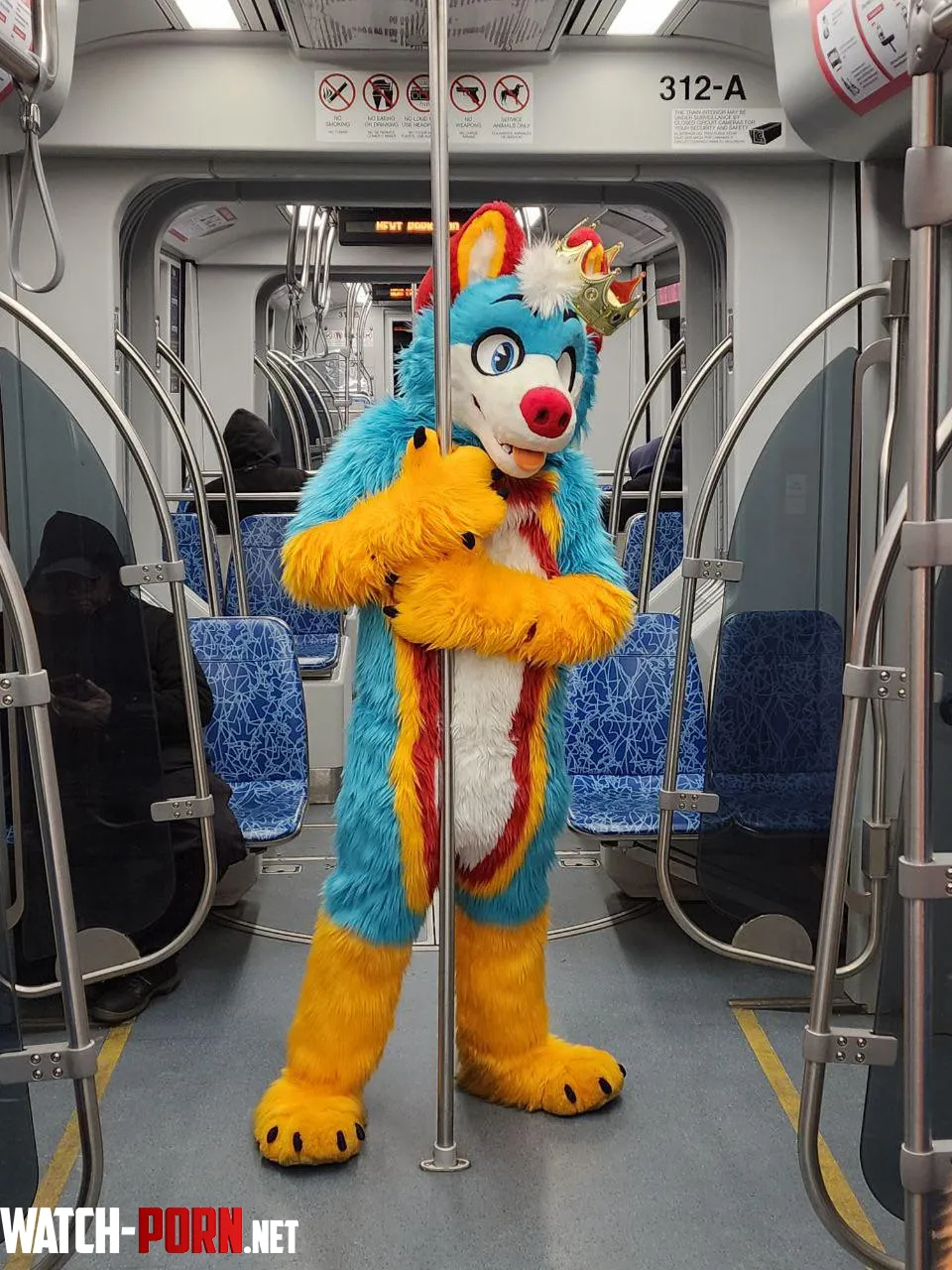 A husky goes for a train ride by FluffyHusky88