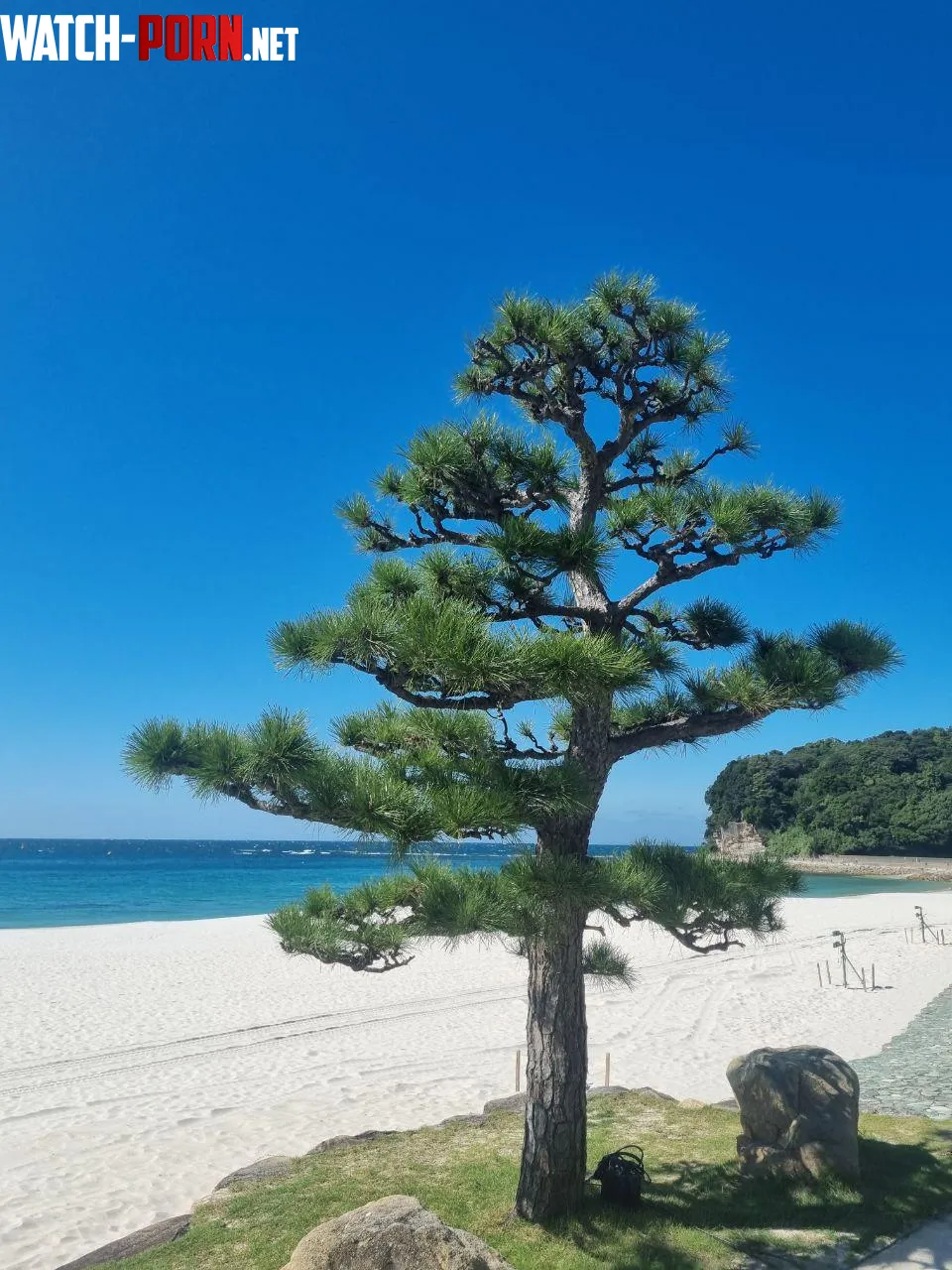 Wakayama Japan by xxFoxyJeans_17