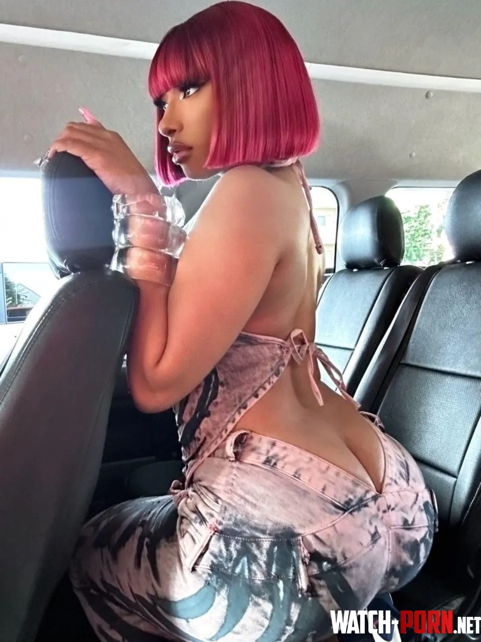 Megan Thee Stallion  by Afraid_Painter_8146