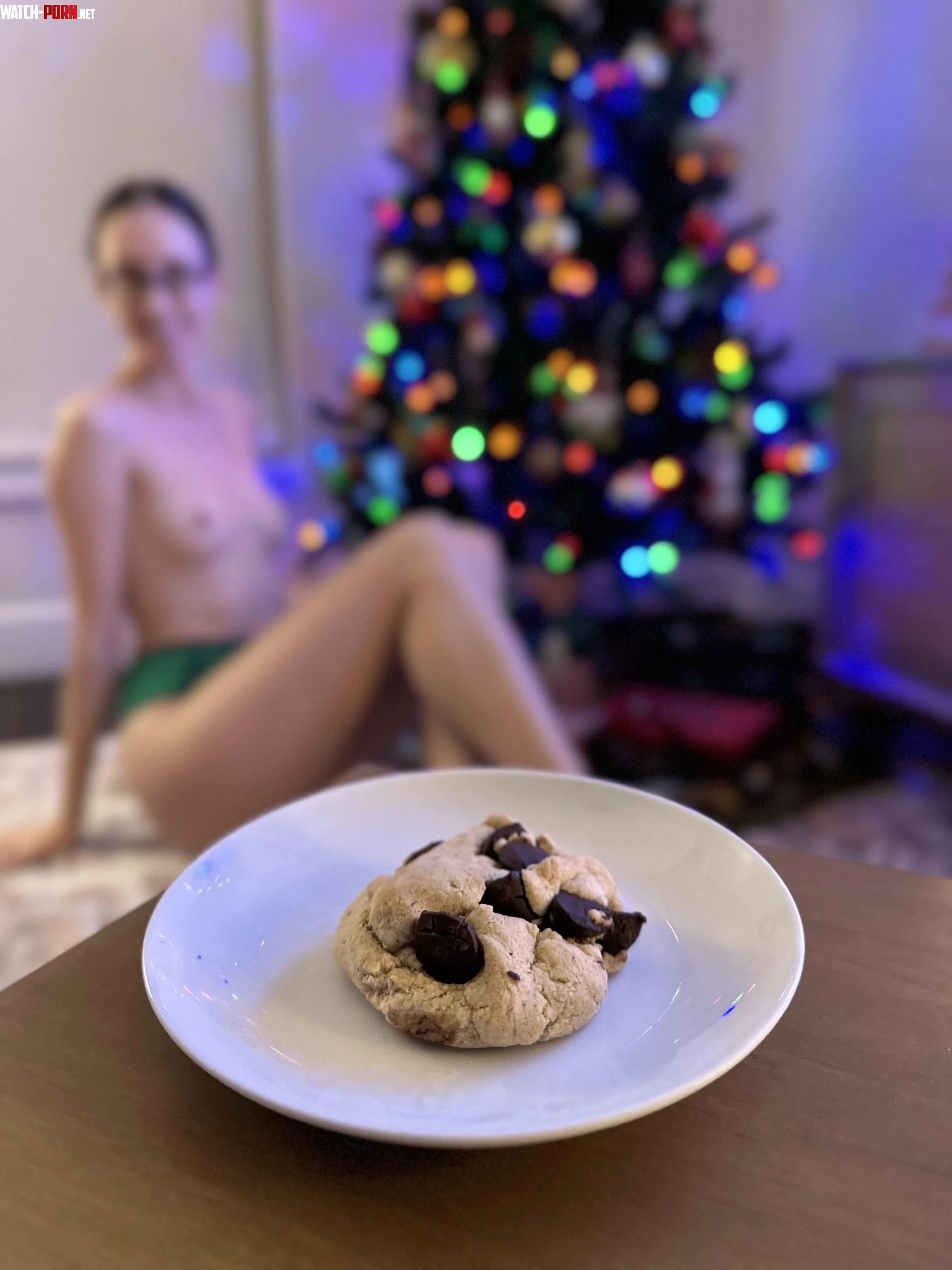 A snack for Santa by duchess_satine_OF