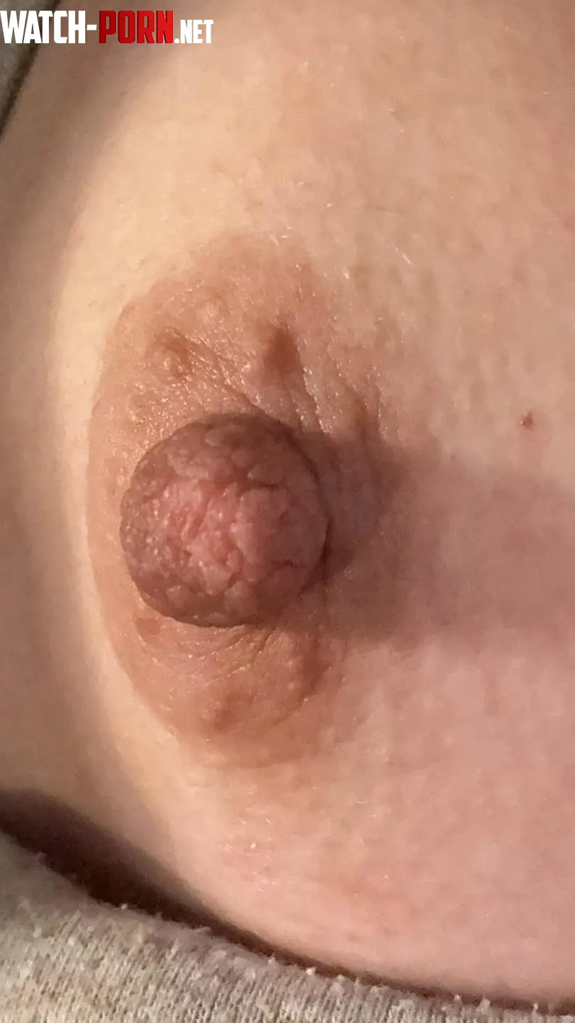 I hope my hard nipple grabbed your attention  by Feeling-Math-1138