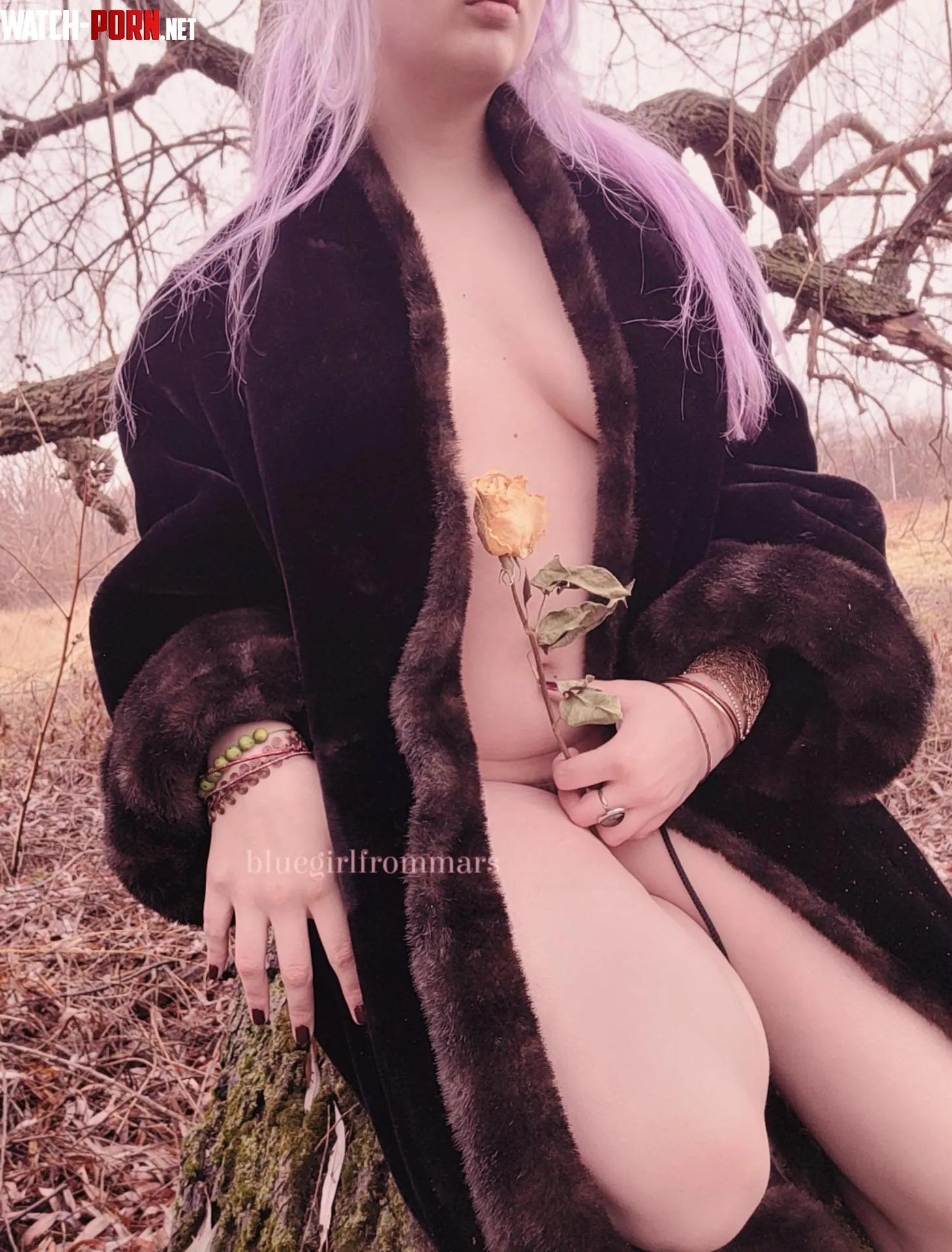 Witchcraft  by bluegirlfrommars