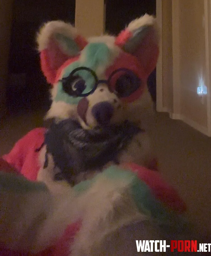 UhMerp Does that make me a sergal by Ancient_Summer_1833
