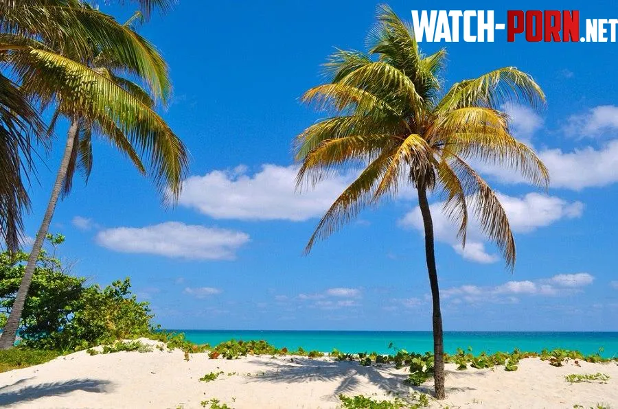 Varadero Cuba  by xxFoxyJeans_17