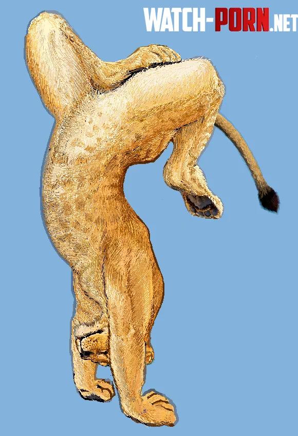 Lioness doing handstand OC by Suitable_Luck9306