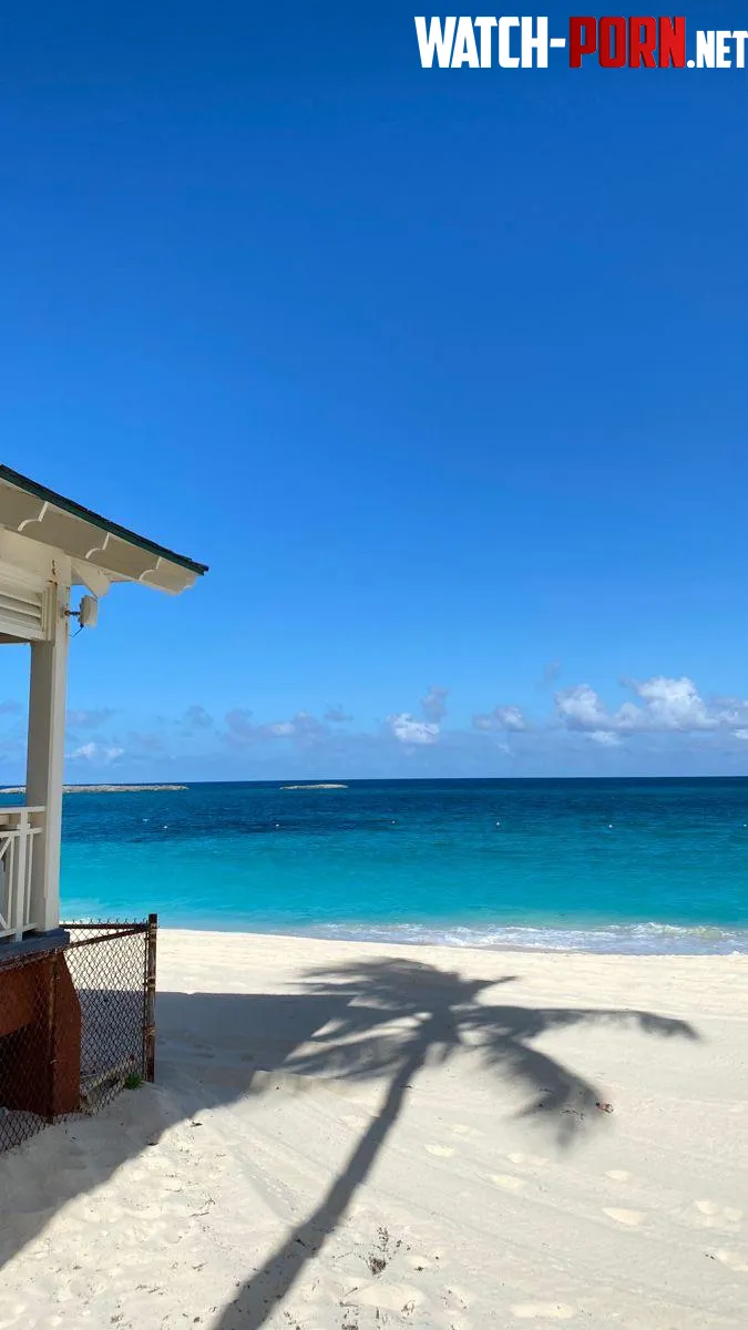 Paradise islandBahamas by yeuxdusphynx