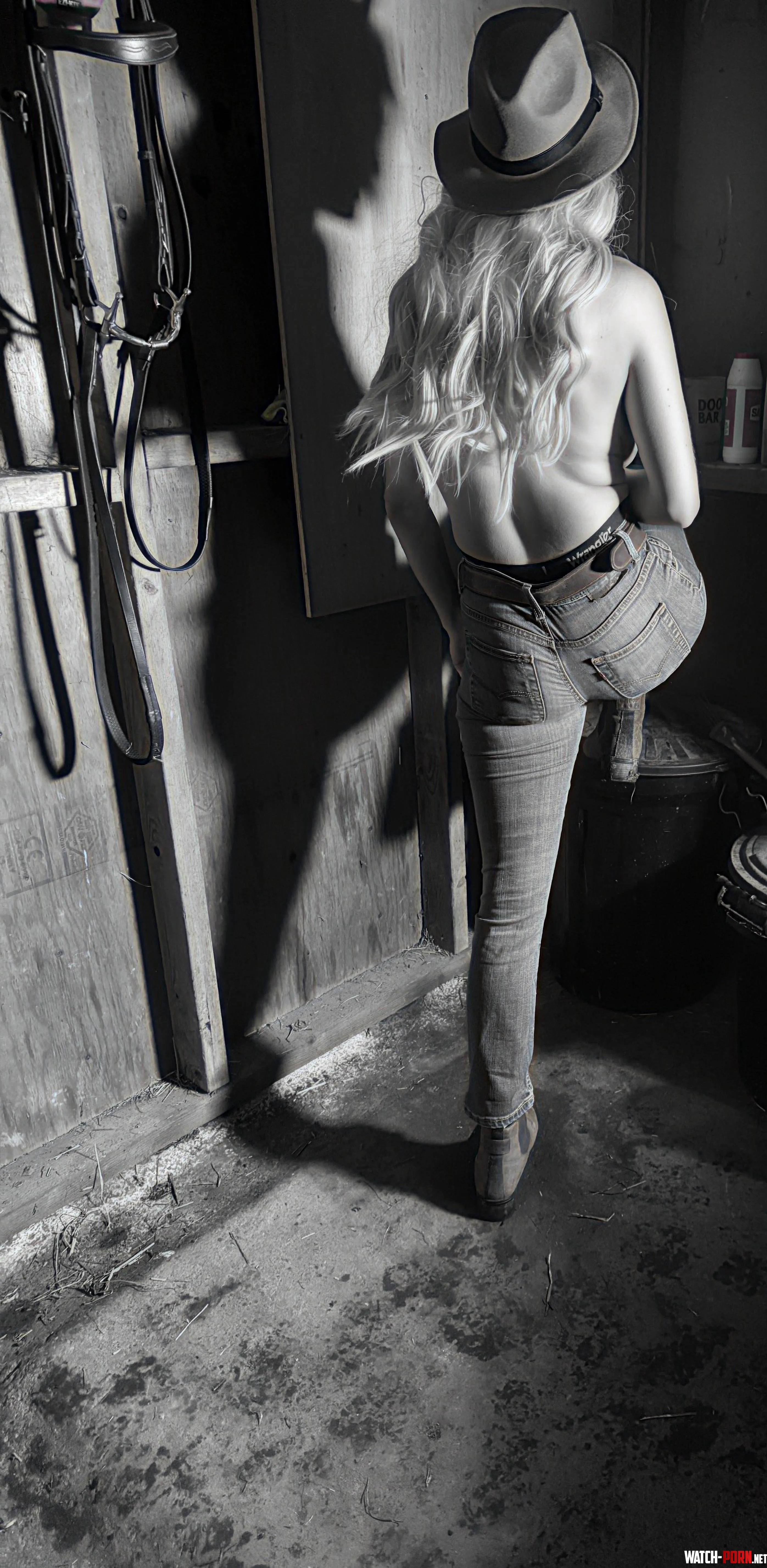 Its new shoot night  by Britneymorgan88