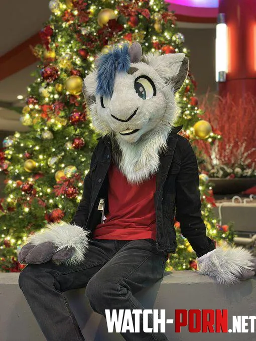 Christmas Goat by Hydah