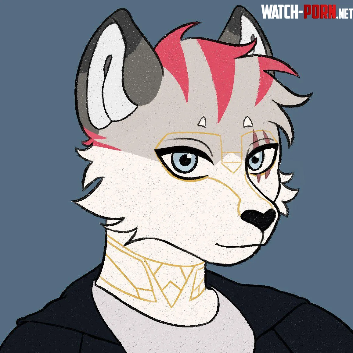 Look at my boy ZanderZeco by Kevin_the_furry