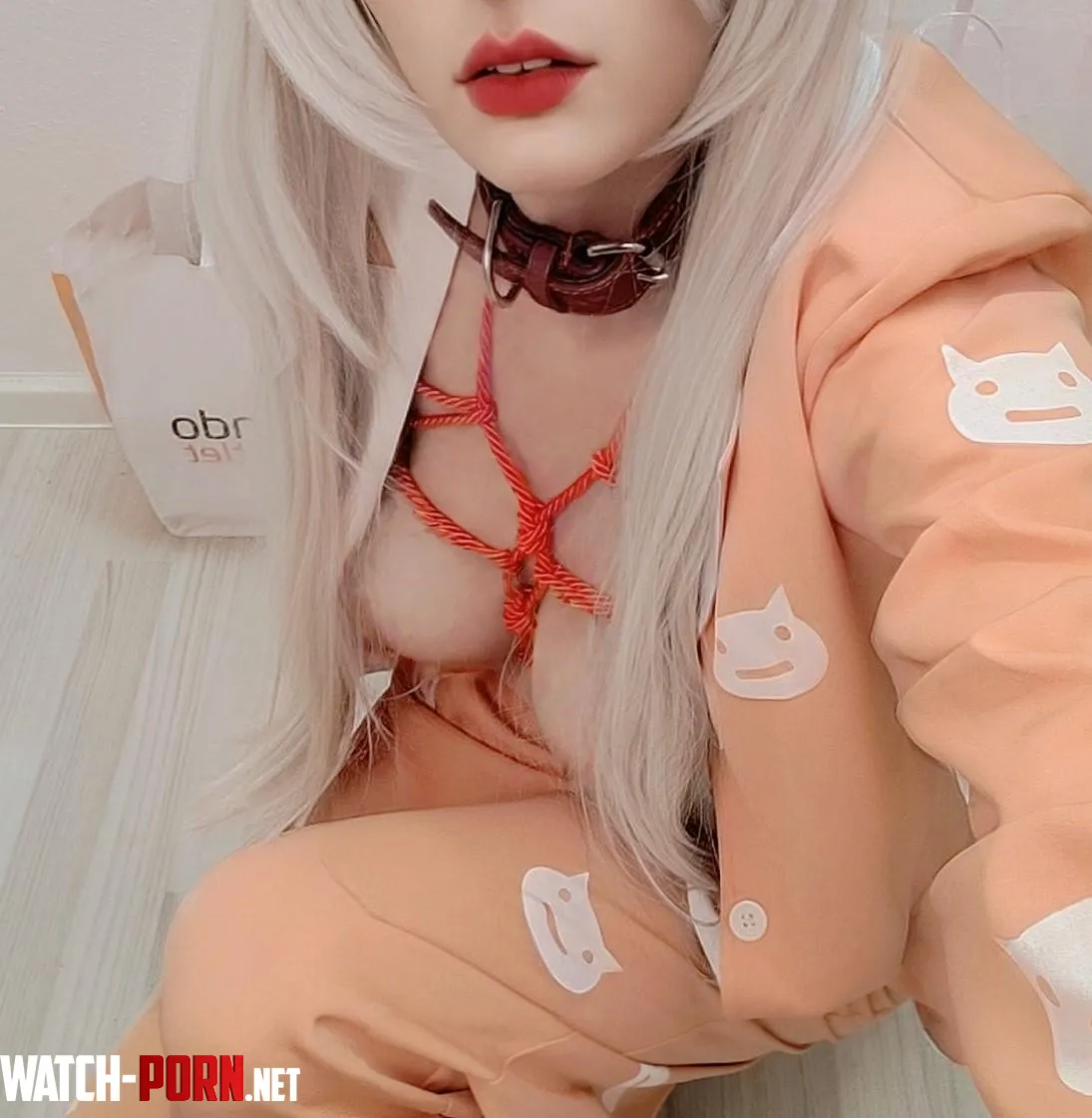 My favorite is a pet collar because its shows me my place 3 by kuroomochi