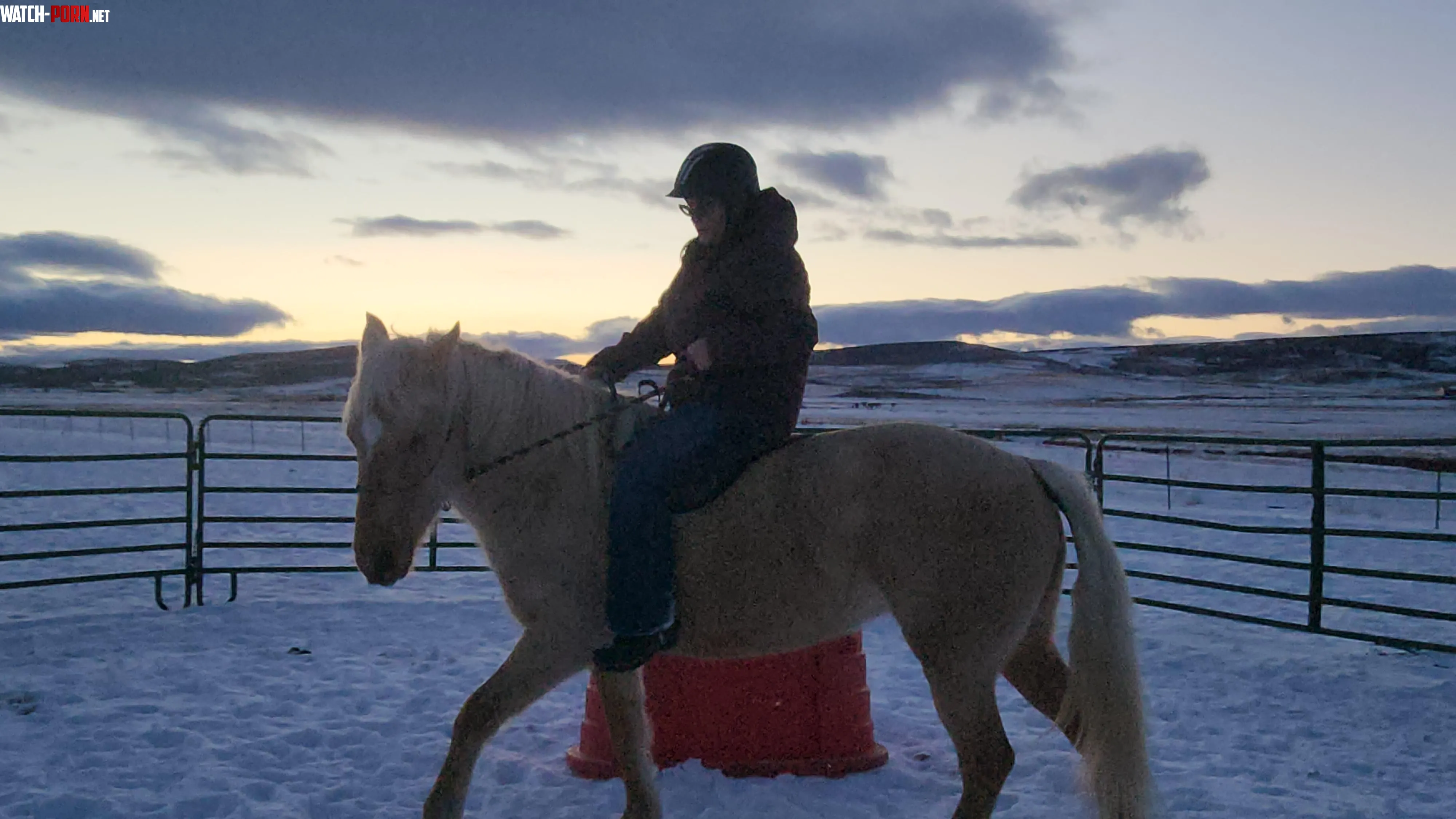 Save a horse ride a cowgirl by Mundane-Value-7383