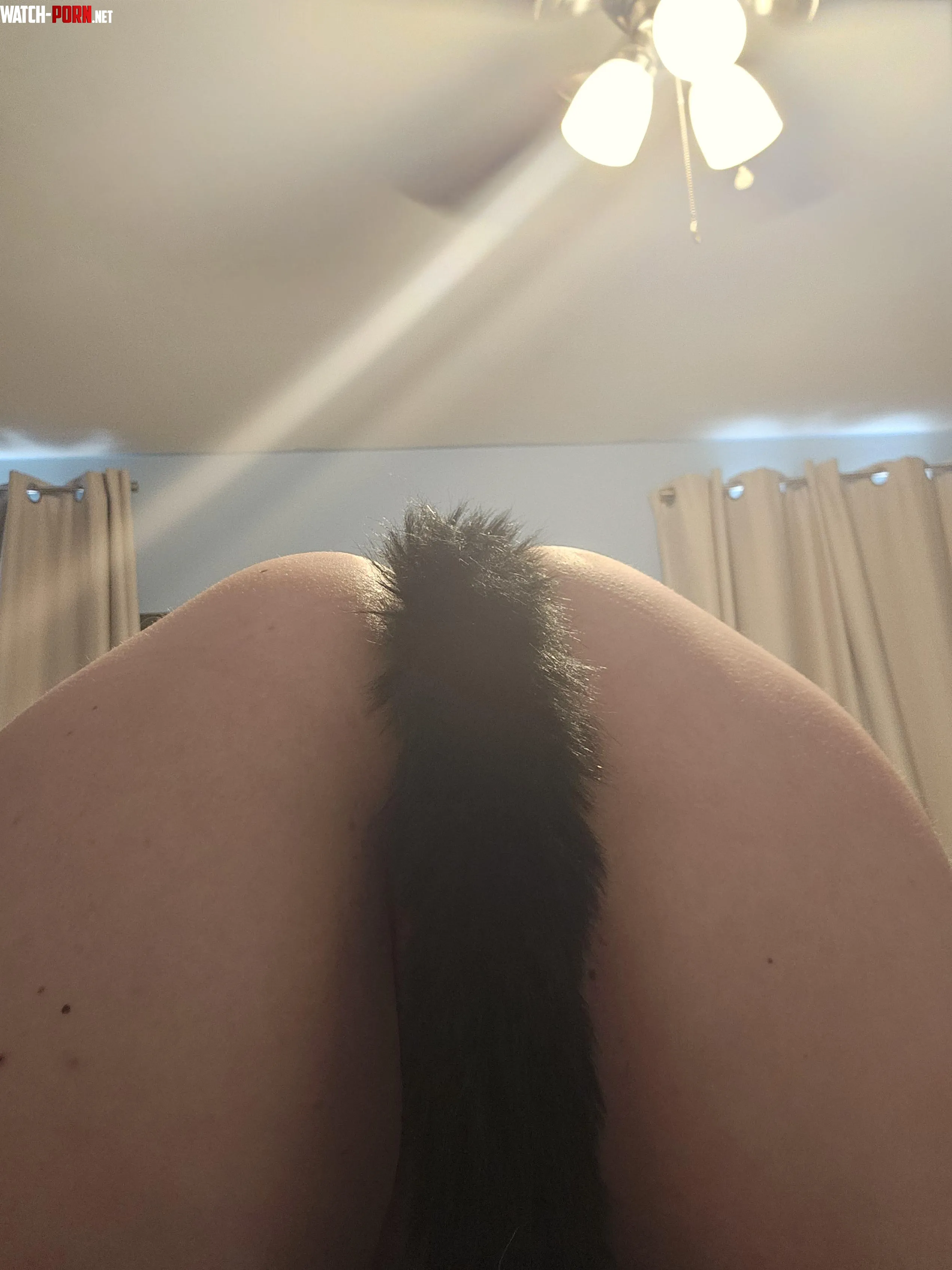 Tail fun by Thesluttyprincess