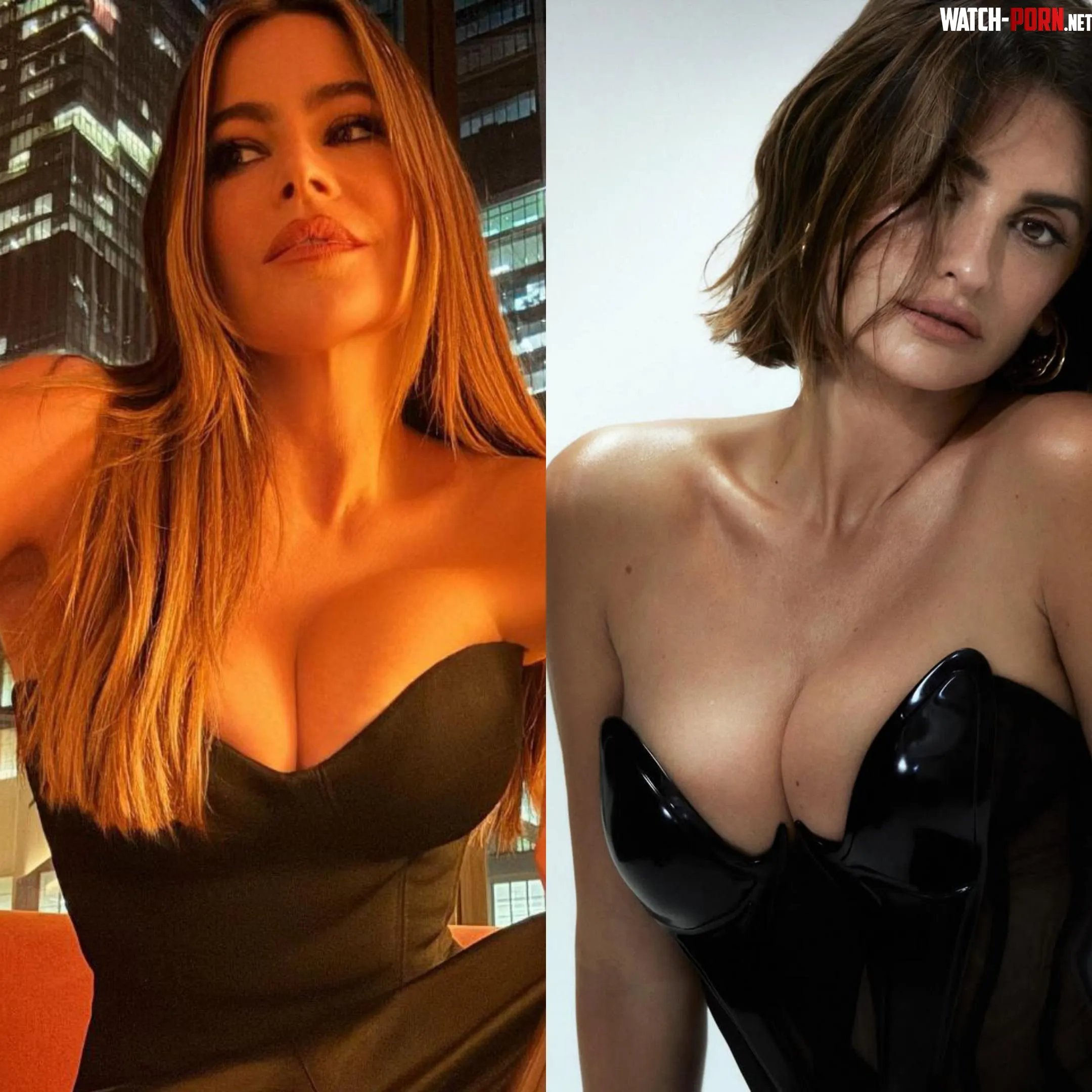 Sofia Vergara or Penlope Cruz by hayalet55