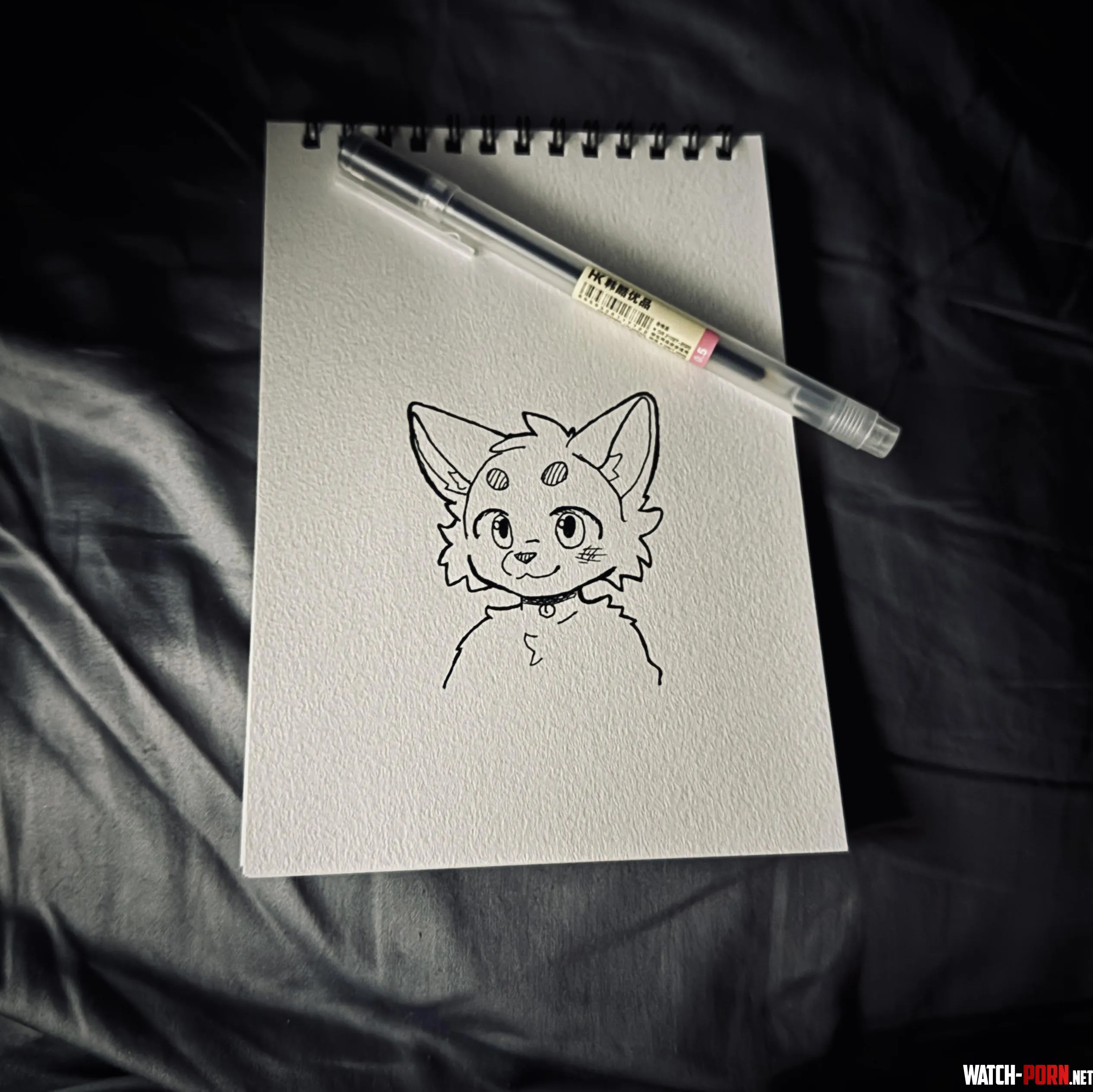 received some new Mujirushi Ryohin  pens by -FantasticFoxx-