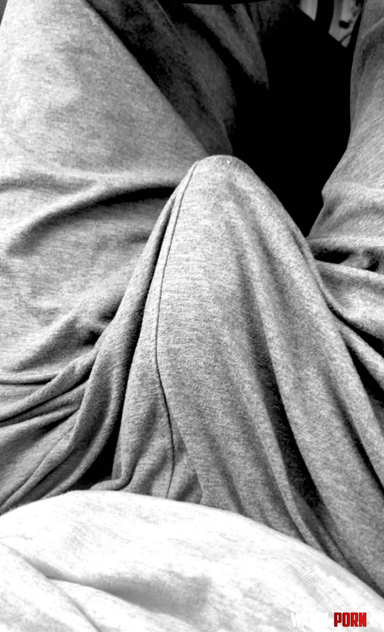 Monster 10 BWC Bulge Headed To Workout  30 by Ok-Clock9746