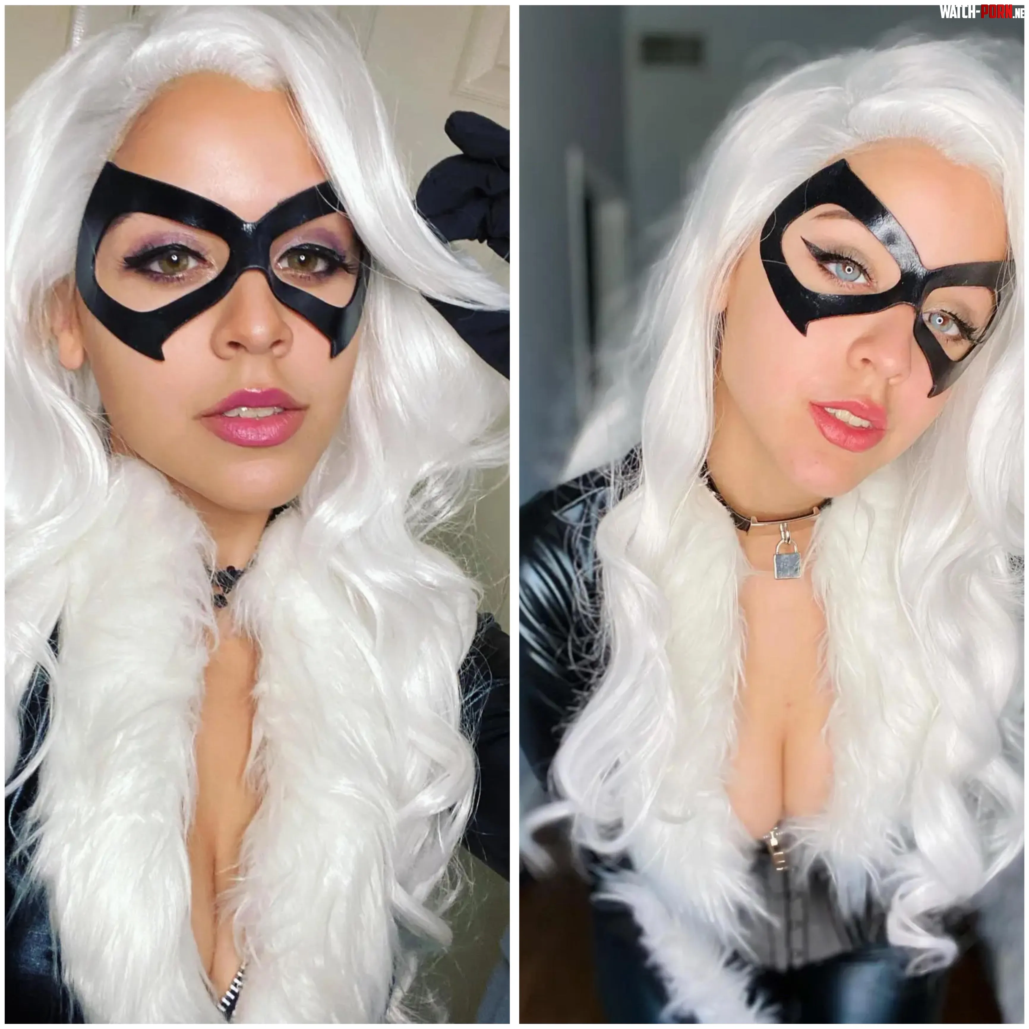 Black Cat Snarky Jay by No-Stop-8570