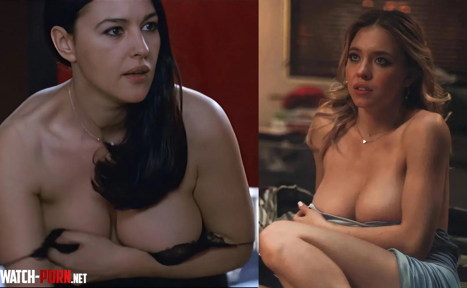 Monica Bellucci or Sydney Sweeney  by shdusns82
