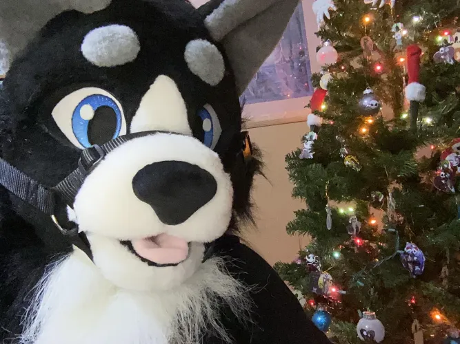 Thumbnail Cheery Furry New Year: Celebrations Unleashed