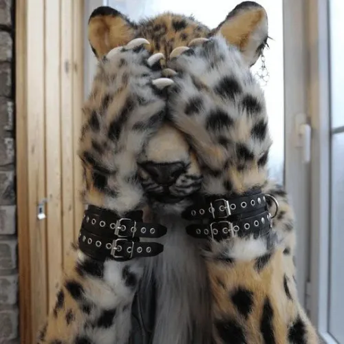 Thumbnail Iloveitaliansausage Seeks Help in Finding a Furry Suit Quest