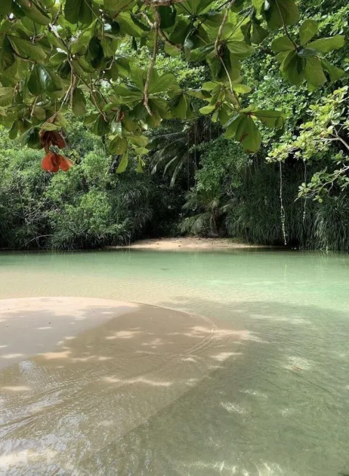 Thumbnail Jamaica Adventures: Beach by colapepsikinnie