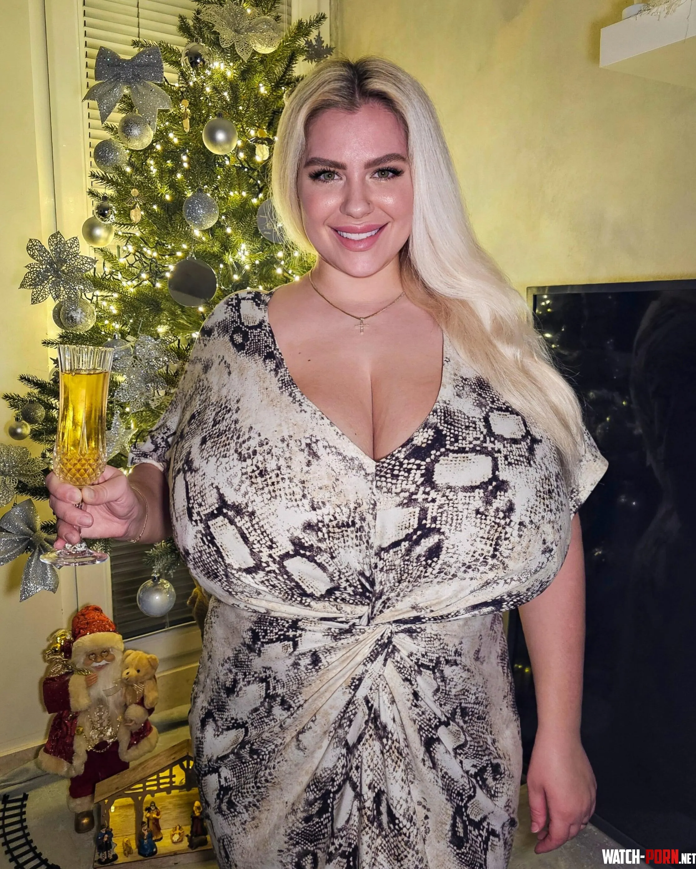 Happy New Year   by ninaphoenix_