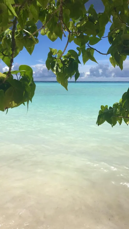 Thumbnail Guam  by colapepsikinnie