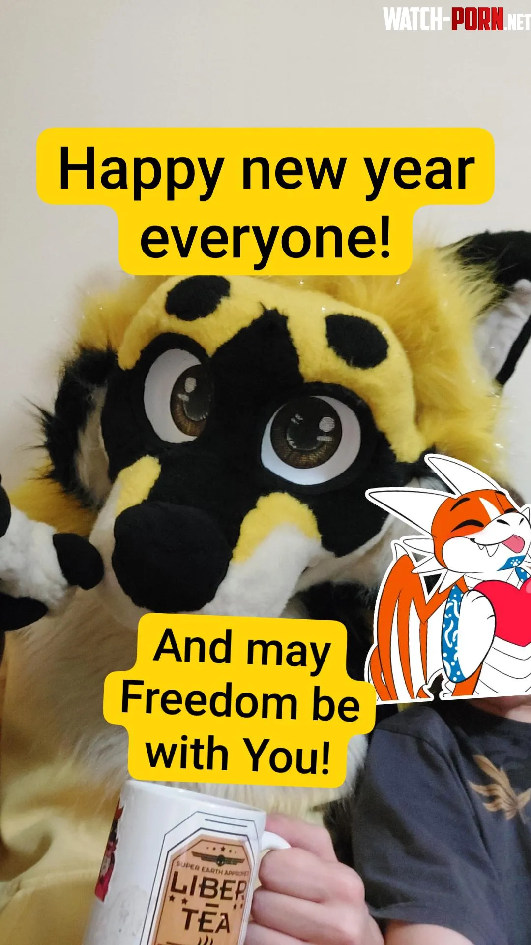 Hapy new year citizens From a Freedom loving Polish woof  by Kajor3003