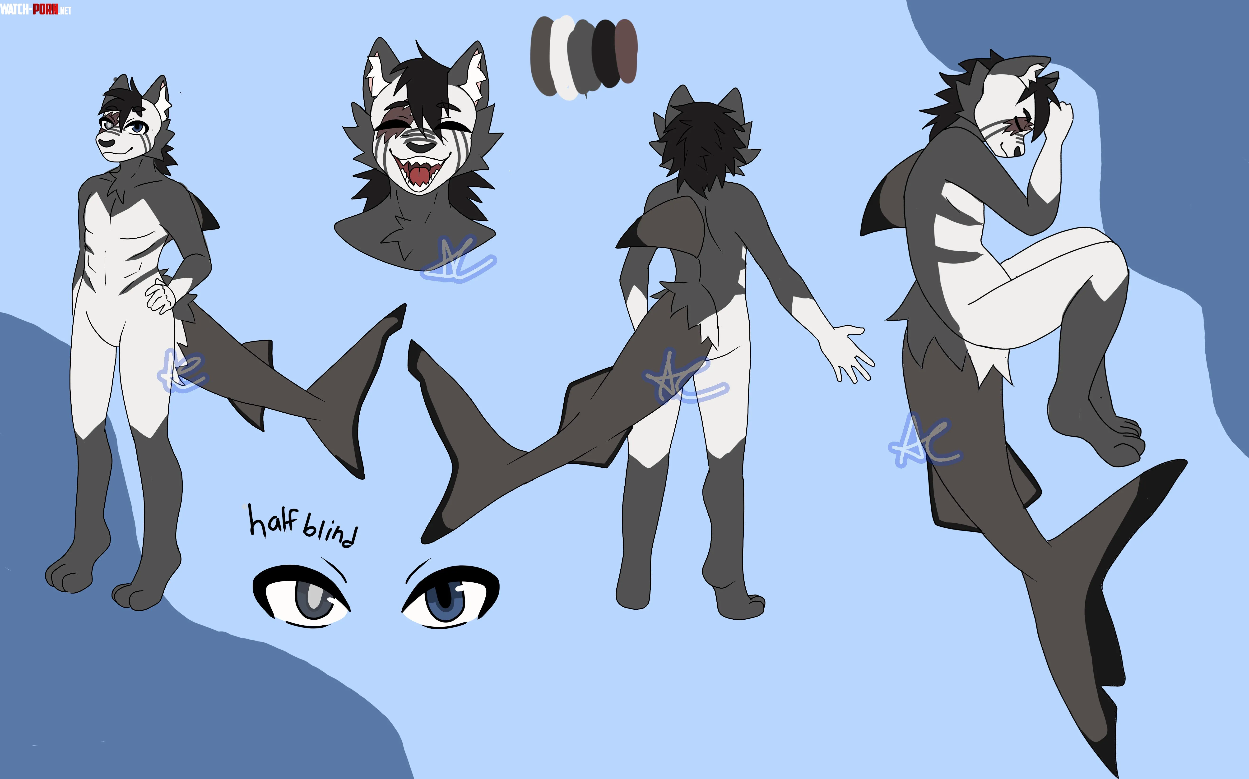 Catshark character design ref sheet 3 by Naive-Appointment231
