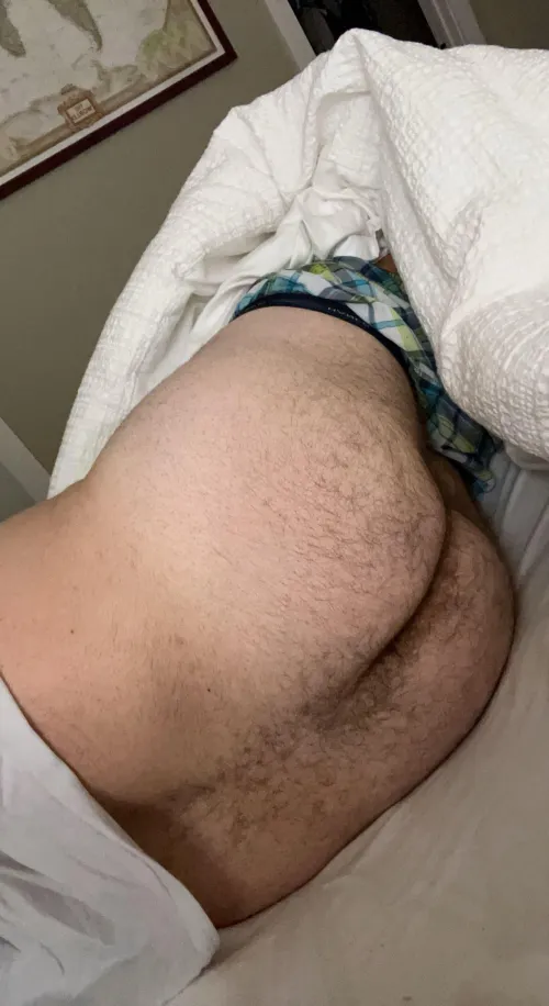 Thumbnail My hairy manass needs some attention by Additional_Shop_9301