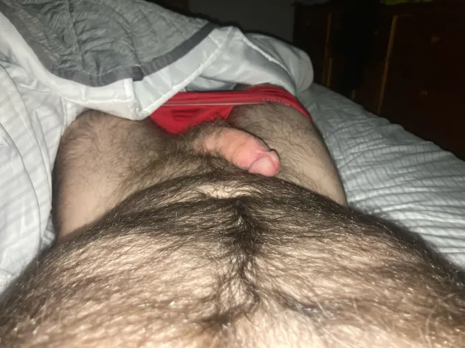 Thumbnail 36 woke up too horny to fall back to sleep by Party_General_8175