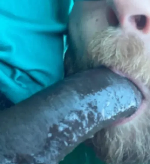 Thumbnail Downlow cocksucker by Mwmbttm3