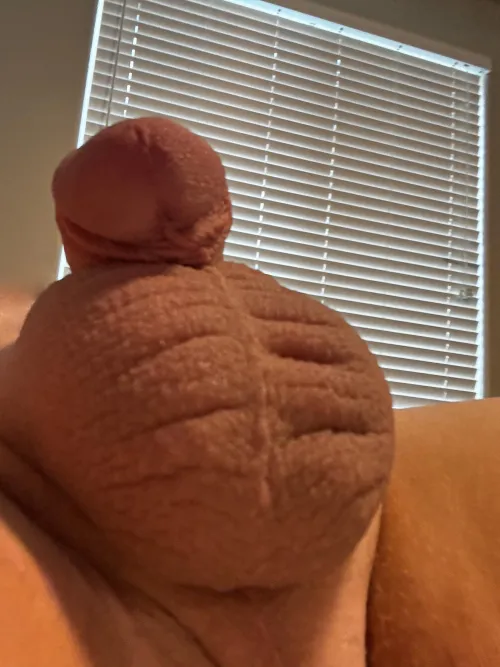 Thumbnail Extra tight balls 34 by BiMarried916