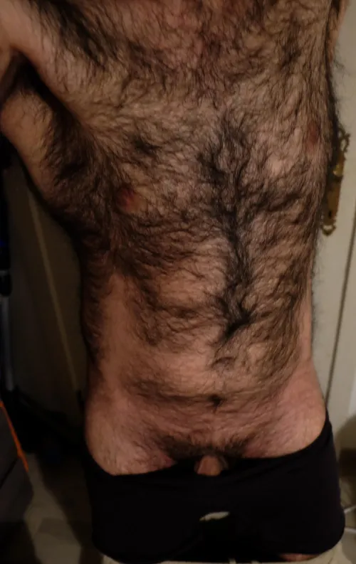 Thumbnail Cuddle my hairy chest and my hairy body  Also sniff my manly perfume by Hairypanter