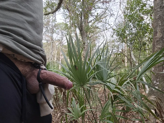 Thumbnail On the trail leaking precum by girthy_staff