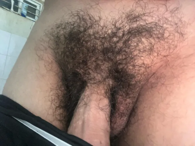 Thumbnail 18 barely legal hairy Latino cock  by PopFun6460
