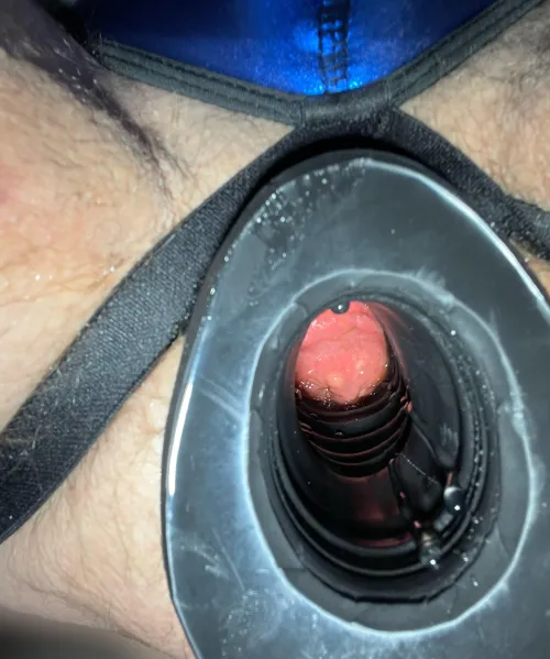 Thumbnail Xxl pig hole  by InTraining2020