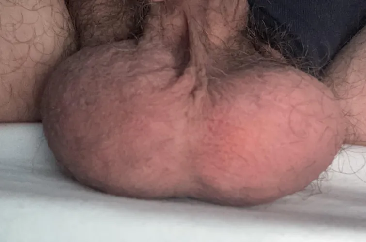 Thumbnail 35Not emptied my balls for a few days  by british_bear25