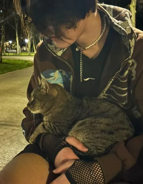 Thumbnail A stray cat just came to me by Dull-You-3037