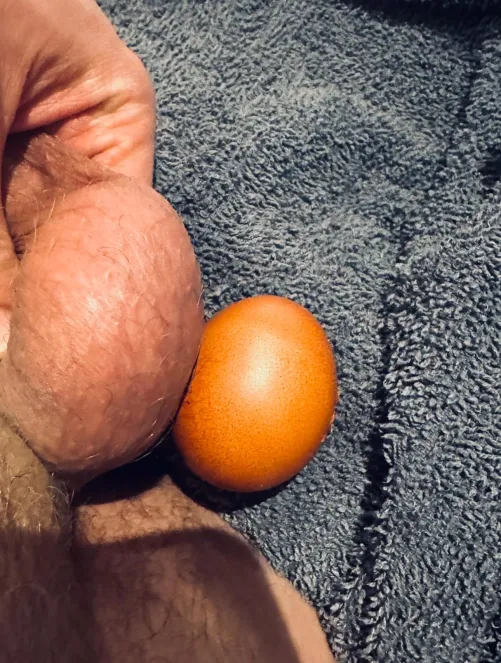 Thumbnail 35 Balls vs egg by Przemaster89
