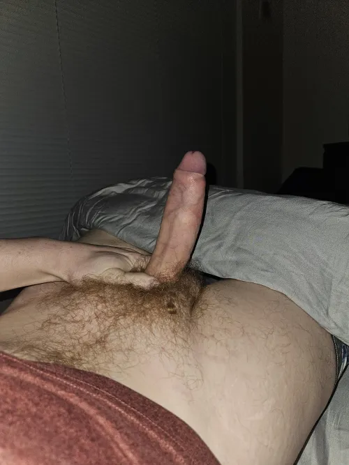 Thumbnail Canadian BWC is ready to breed you 25 by GingerGuy1999