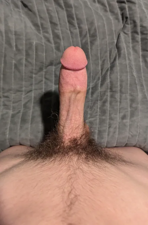 Thumbnail I know my dick isnt tiny 7 inches long 6 inches thick but for some reason it doesnt look that good to me am I the only one  by Strict_Ad_2540