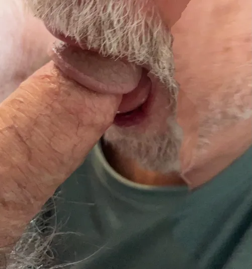 Thumbnail Sucking My Bi Buddies Cock Again  by CRMarkus