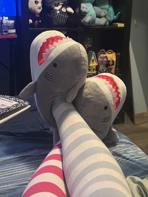 Thumbnail Do yall fw my Blahaj slippers by l23456789l011