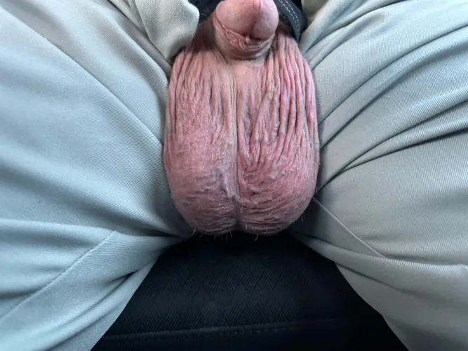 Thumbnail Full low hangers 51 driving home and horny by Big_ballsb
