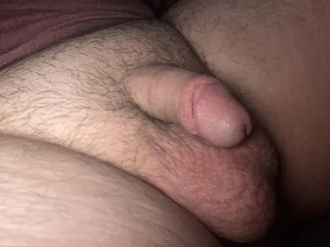 Thumbnail 31 my softie could use some attention by Easy_Platypus_1913